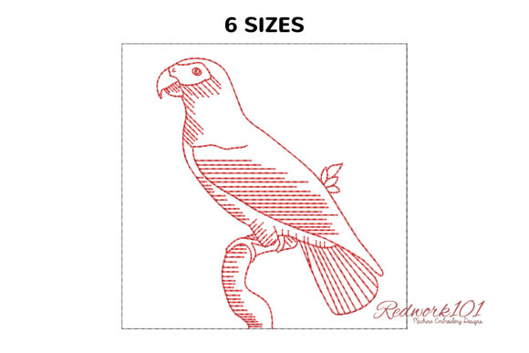 African Grey Parrot Design for Boutique Apparel