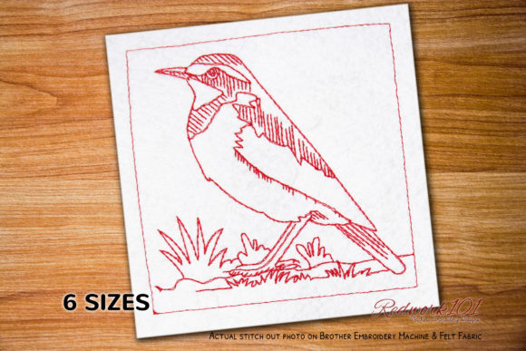 African Pied Wagtail Redwork: An Etsy Seller Review