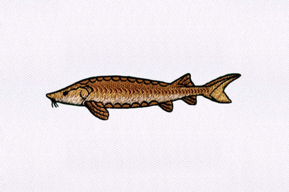 Brown Fish Design: An Etsy Sellerβs Review