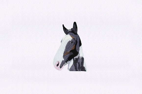 Detailed Horse Design: A Stitcher’s Review